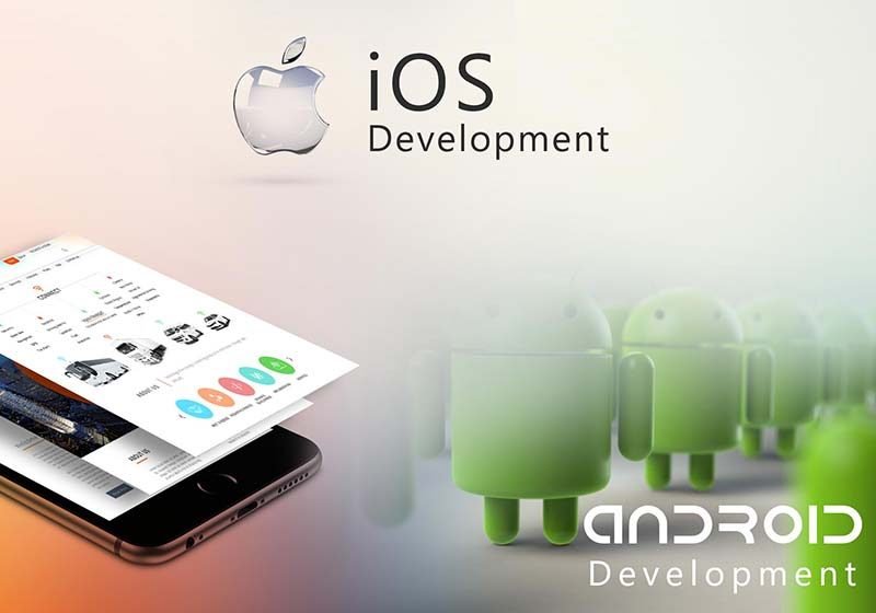 04-app-dev-800x560