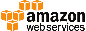 3-AmazonWebservices_Logo-300x110-1-300x110